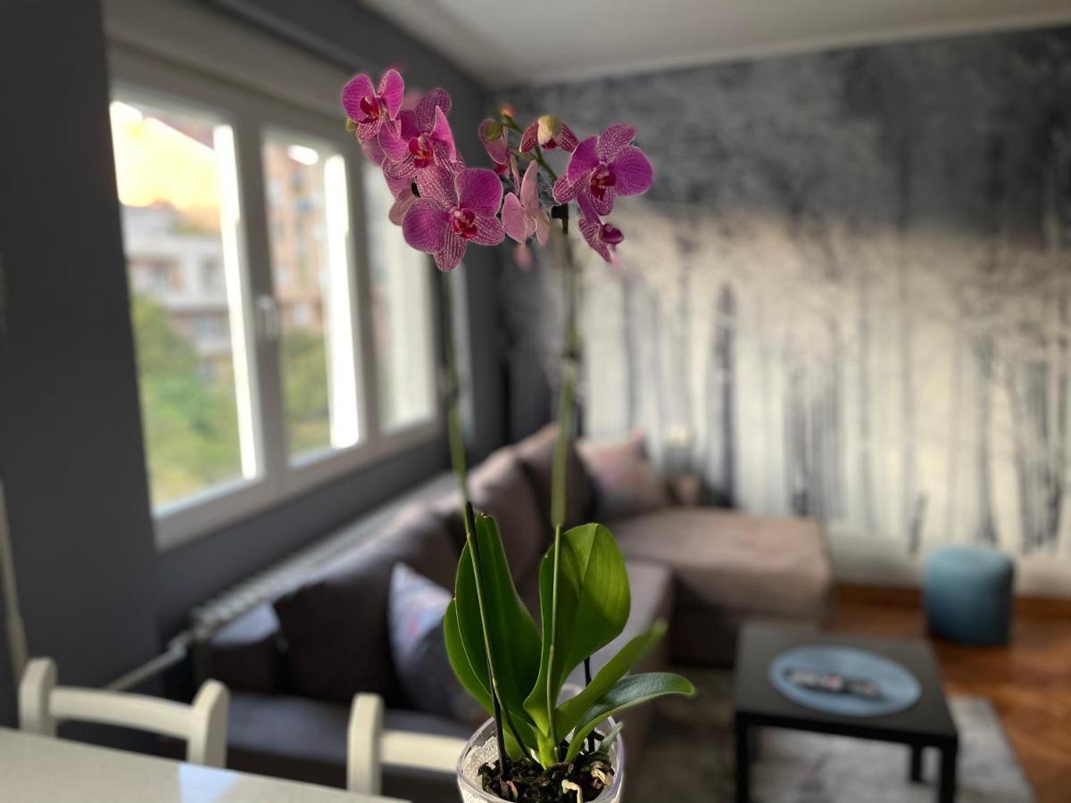 Apartman Avenia Novi Sad Ngoại thất bức ảnh