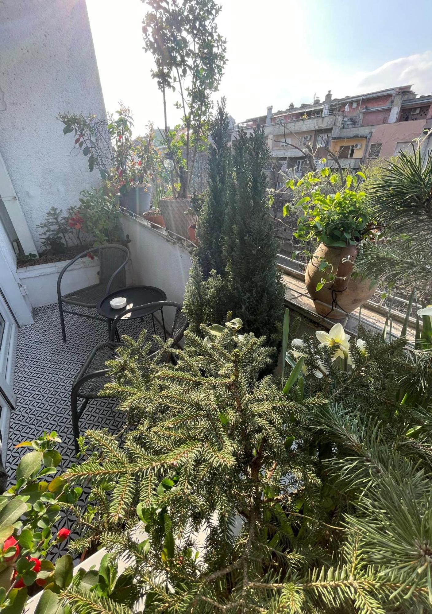 Apartman Avenia Novi Sad Ngoại thất bức ảnh